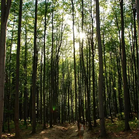 Bálint - In The Heart Of Apartamento Miskolc